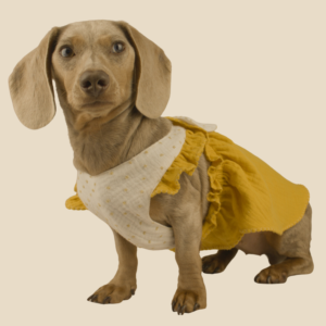 The Honey Dress