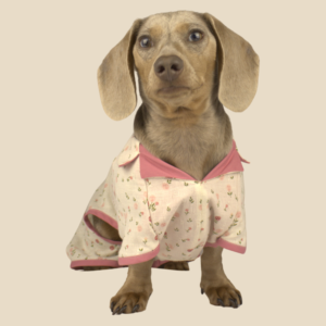 The Boyfriend Jammies