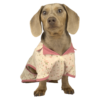 jammies test