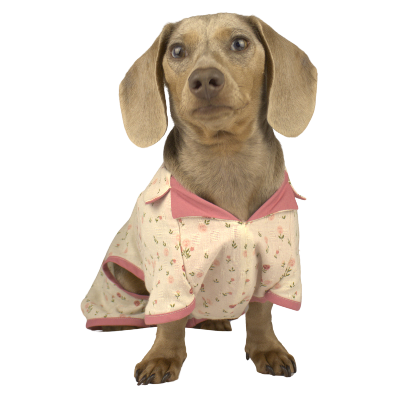 jammies test